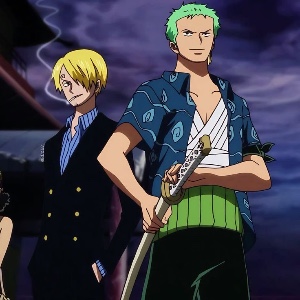 Zoro/Sanji