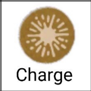 Charge