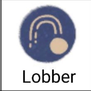 Lobber