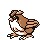 Pidgey