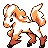 Ponyta