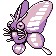 Venomoth