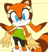 Marine the Raccoon
