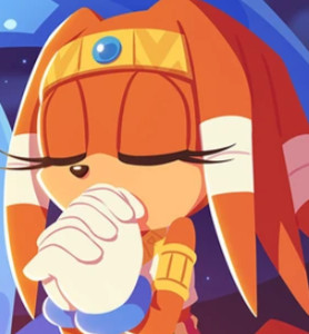 Tikal the Echidna