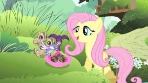 Music In The Treetops