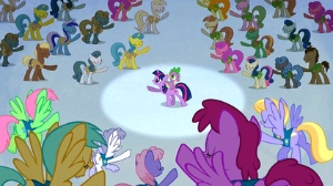 Winter Wrap Up