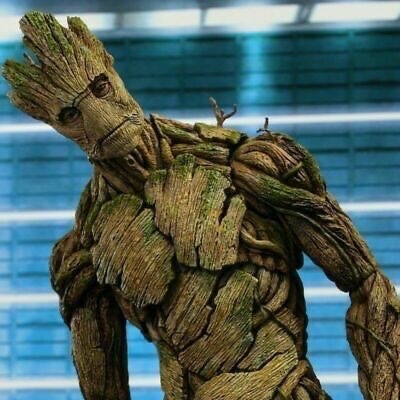 Groot
