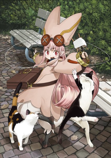 Habetrot