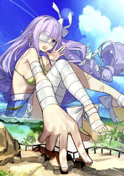 Kingprotea (Summer)