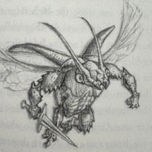 Shield Bugs