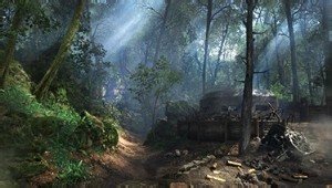 Argonne Forest