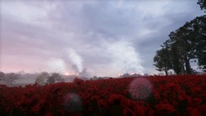 Rupture