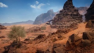 Sinai Desert