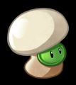 Button Mushroom