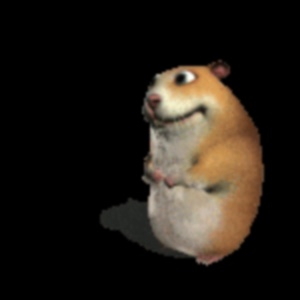 Chomik