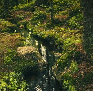Nature