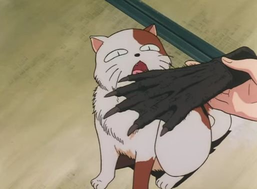 Buyo
