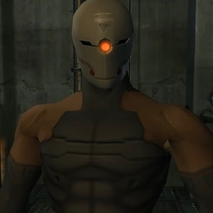 gray fox