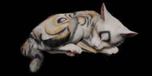 Nekomancer