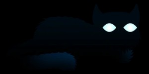 The Sky Cat