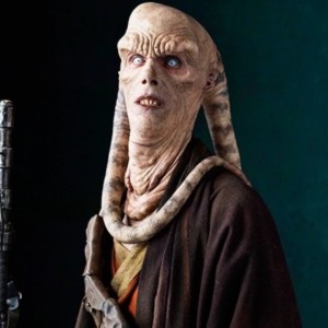Beezer Fortuna