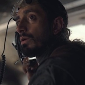 Bodhi Rook