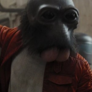 Ponda Boba