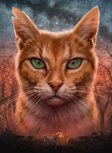Omen of the Stars