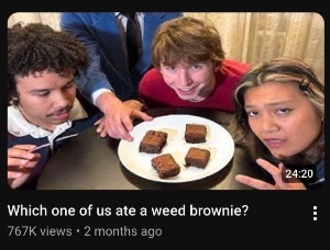 Which one of us ate a weed brownie?