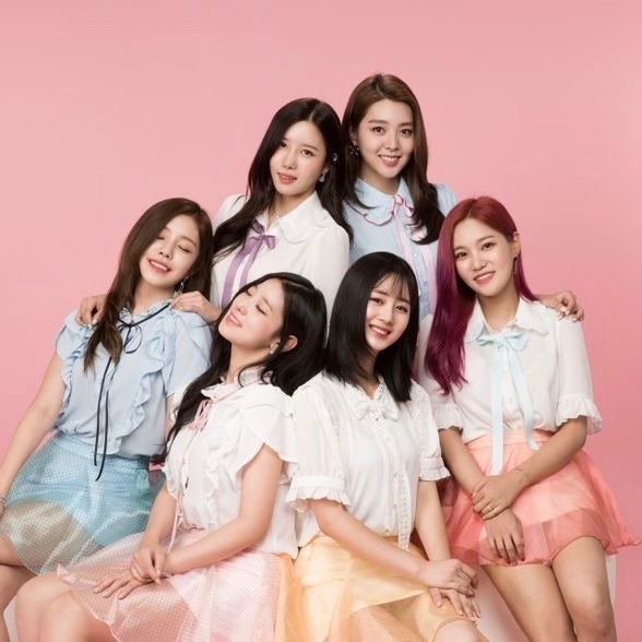 Berry Good