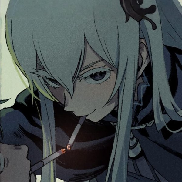 Echidna