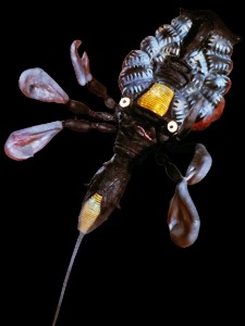Alien Cool