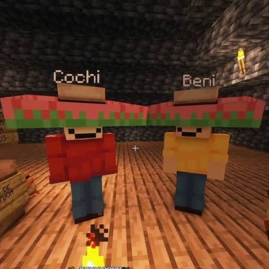 Cochi y Beni