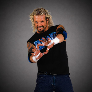 Diamond Dallas Page