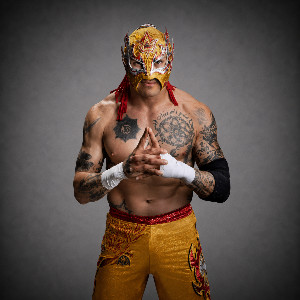 Rey Fenix