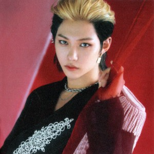 Felix black & blonde hair