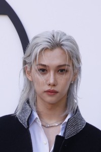 Felix long silver hair