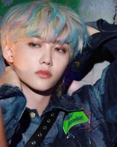 Felix with colorful highlights