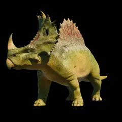 2194