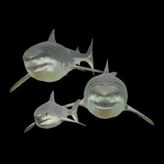 2221