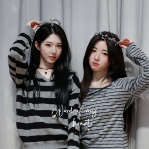 S14 x S15 Soxinz