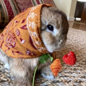 сладкоежка