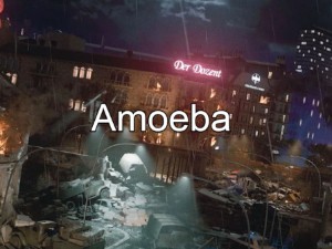 Amoeba