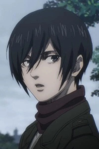 Mikasa