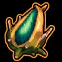 Seed of Life