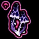 Weeping Fungus