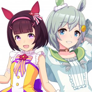 nishino flower x seiun sky