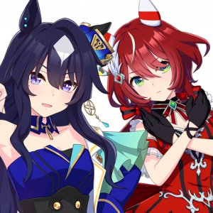 verxina x win variation