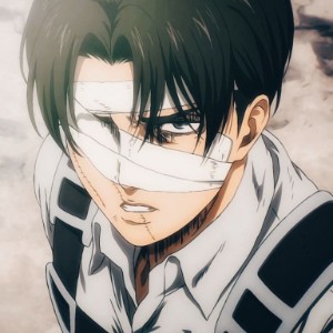 Levi