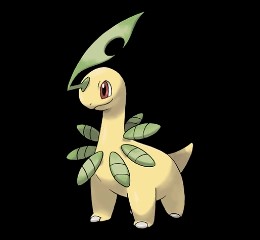 Bayleef